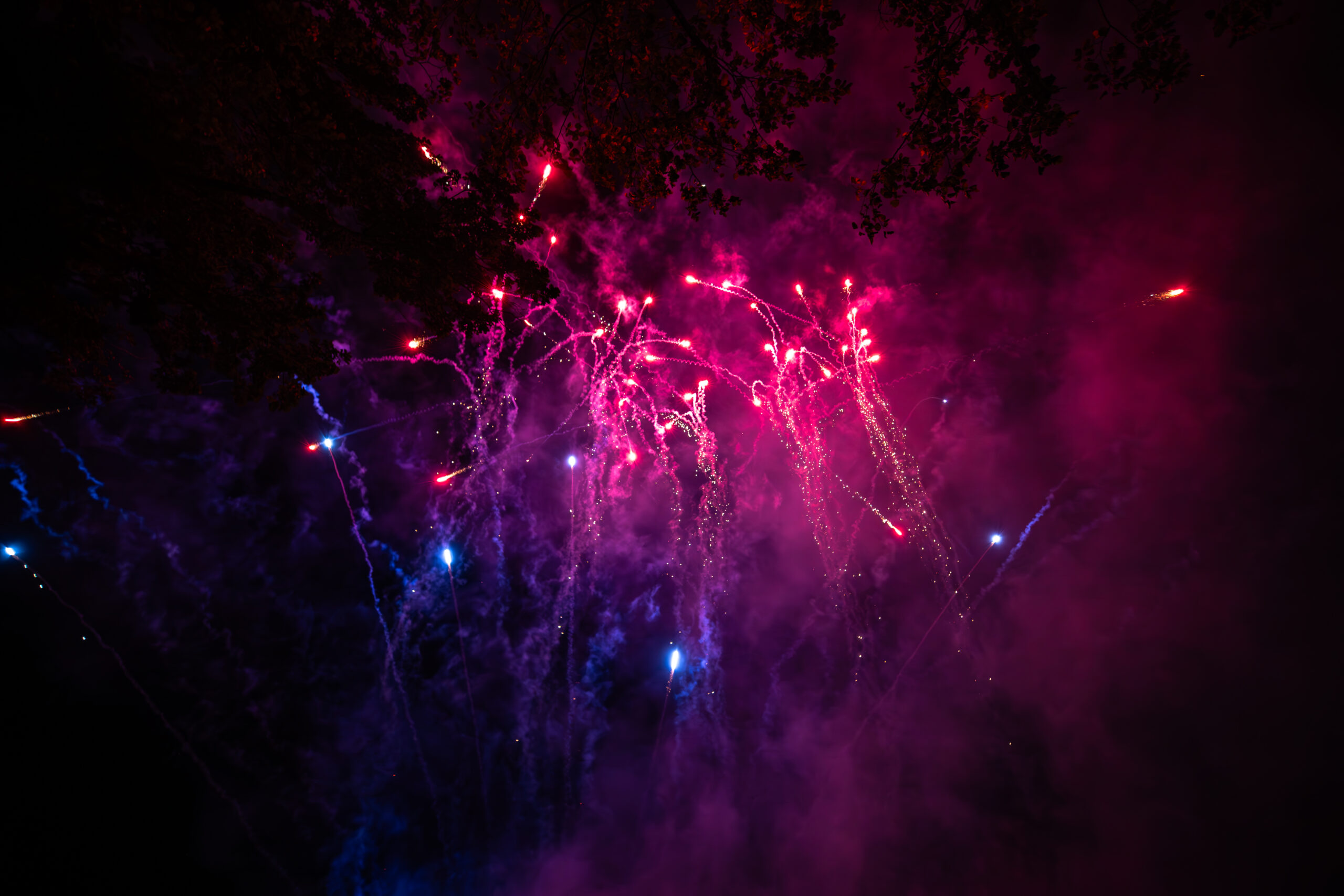 Leuchtend rosa und blaue Feuerwerkskörper explodieren und erhellen den Nachthimmel, während im oberen Teil des Bildes dunstiger Rauch und Silhouetten von Baumzweigen zu sehen sind.